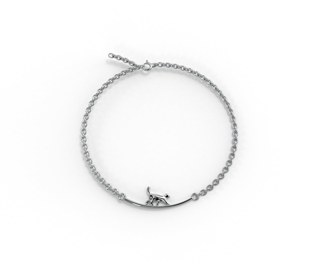 silver anklet